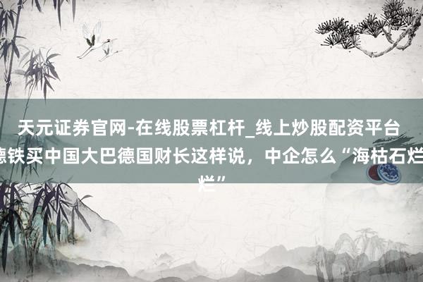 天元证券官网-在线股票杠杆_线上炒股配资平台 德铁买中国大巴德国财长这样说，中企怎么“海枯石烂”